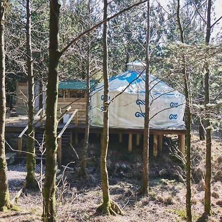 Elf Yurt - Yurtopia Hotel Aberystwyth Exterior photo