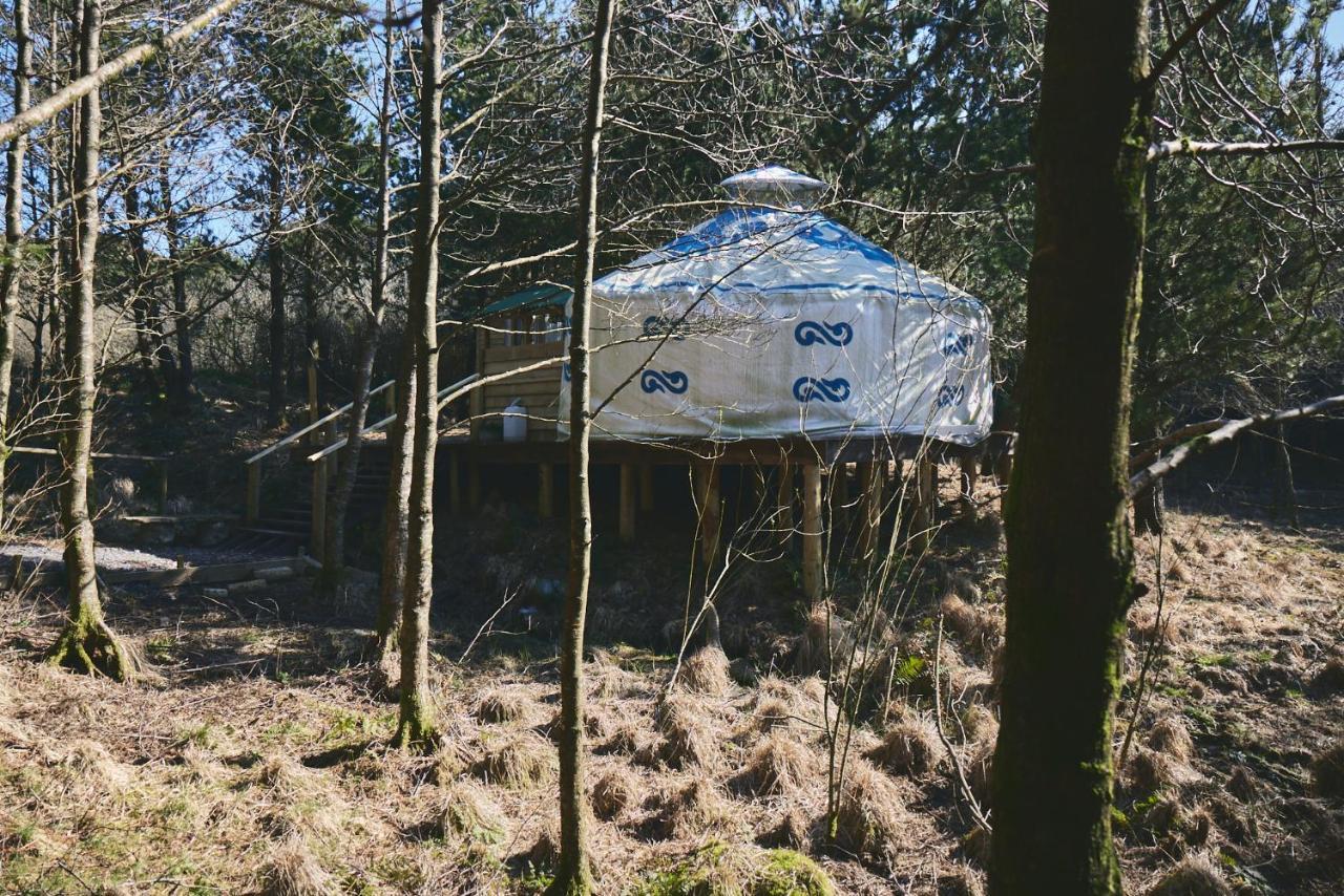 Elf Yurt - Yurtopia Hotel Aberystwyth Exterior photo