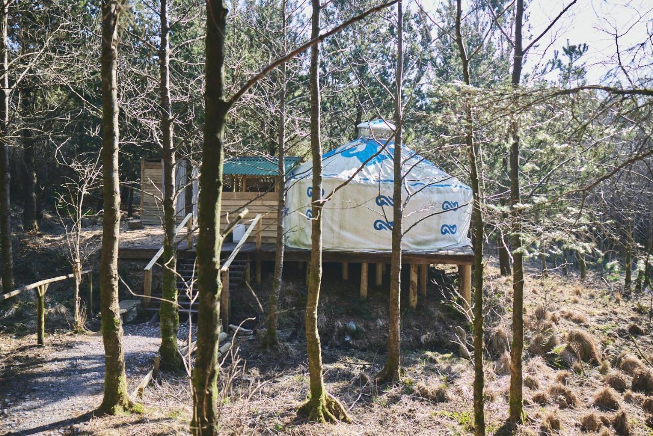 Elf Yurt - Yurtopia Hotel Aberystwyth Exterior photo